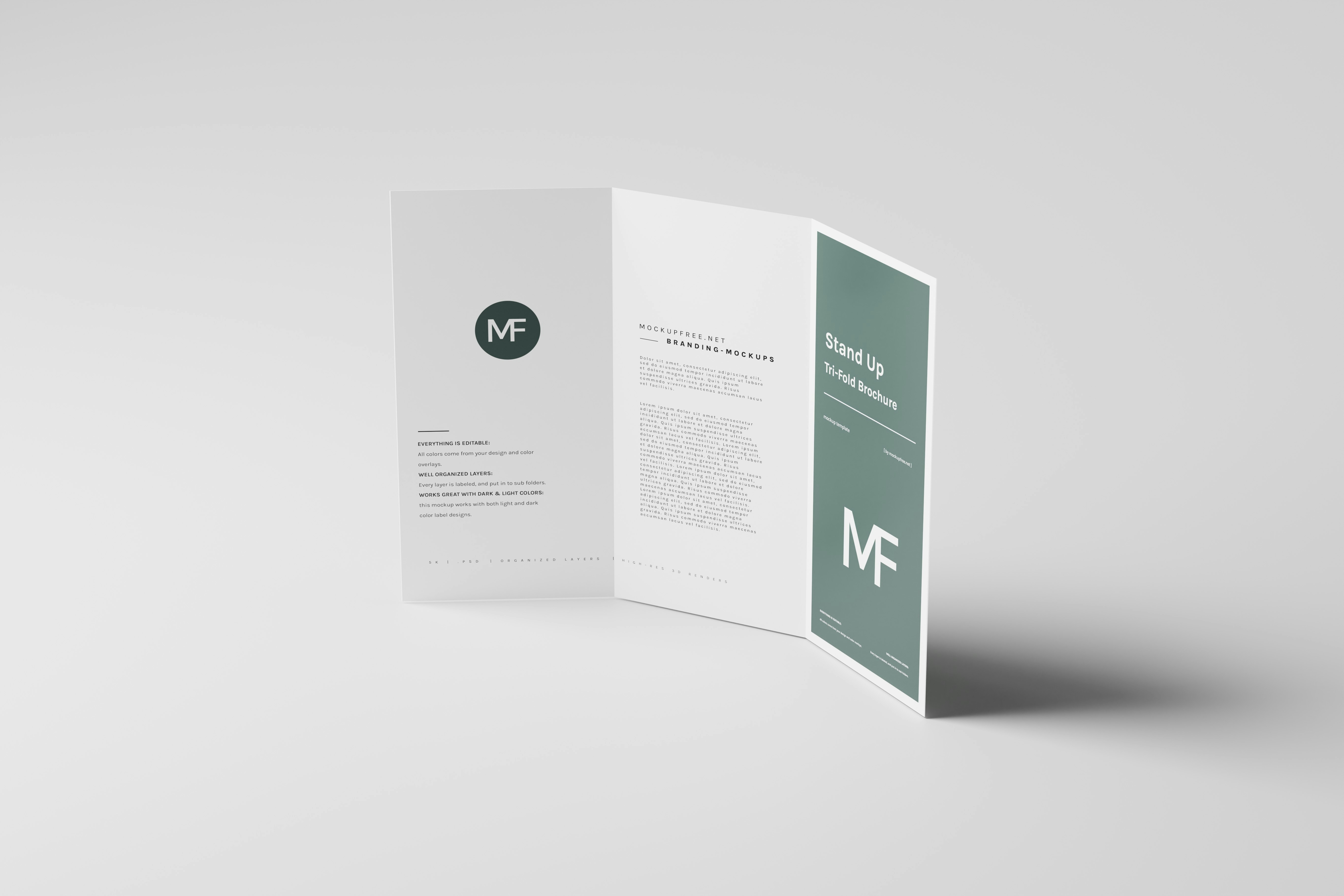 Brochure & Pamphlet Design
